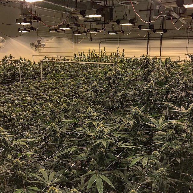 Spark1 - Missoula Website