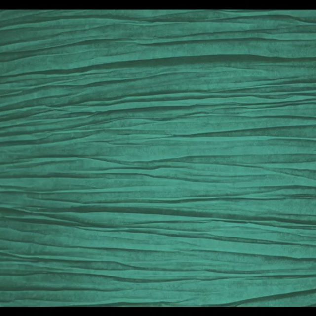 Canopy Health and Wellness Website