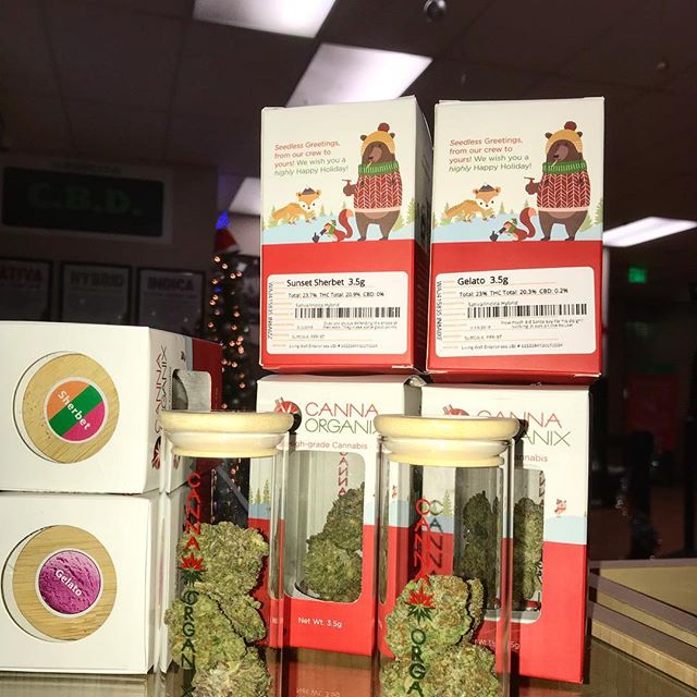 Kush21 - Pullman Website