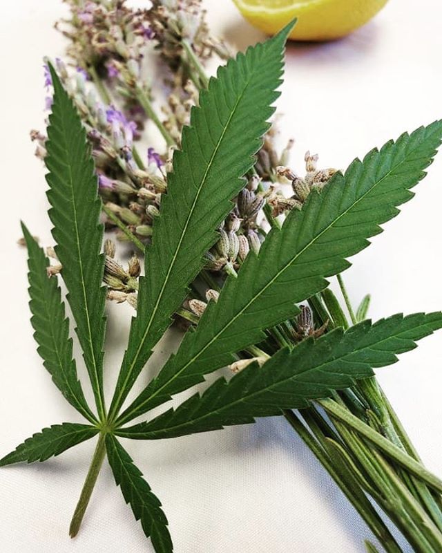 The Sequoyah Group, LLC Website