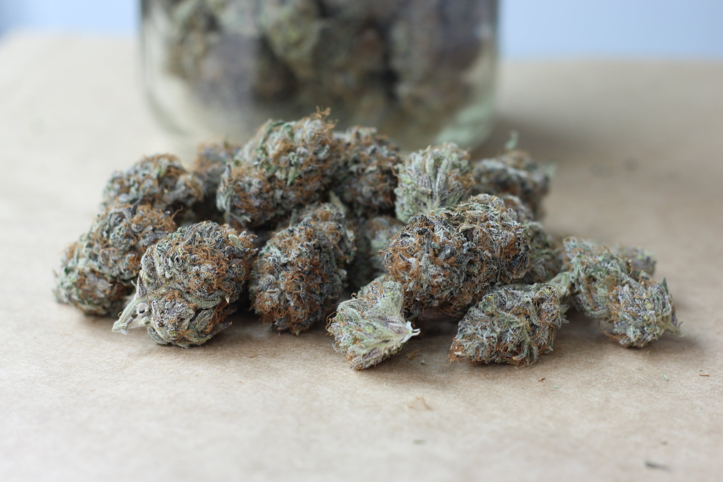 Maine Cannabis Exchange Website