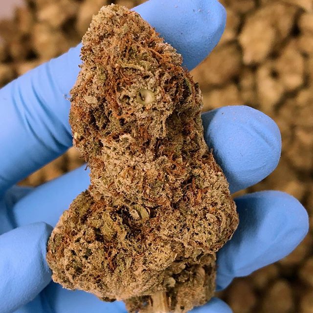 Revolutionary Clinics - Fresh Pond Website