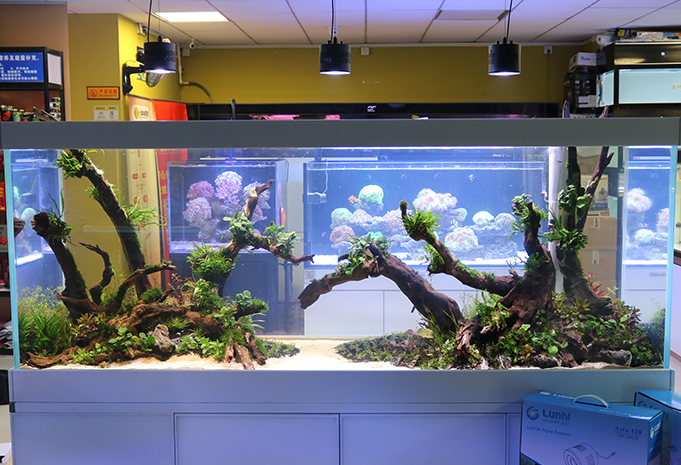 Lumini Technology Co.,Ltd Website