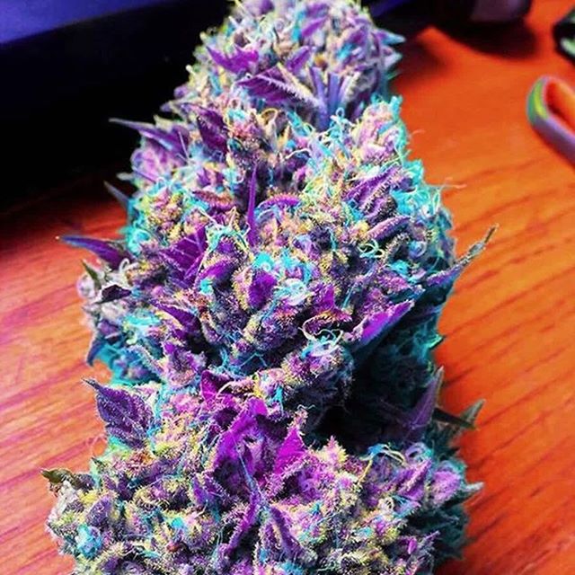 Kind Meds (AZ) Website