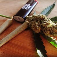 Diego Pellicer - South Denver Website