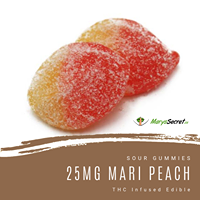 Marys Secret Website