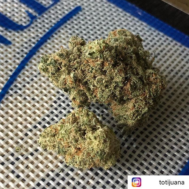 Green Pharms Dispensary Mesa Website