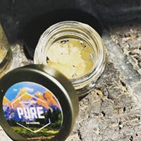 Pure CBD Exchange Website