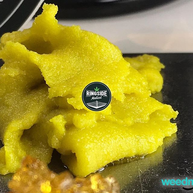 Ringside Medical Website