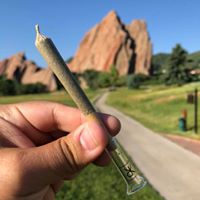 Diego Pellicer - South Denver Website