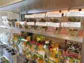 Valley Herbal Center - VHC Website