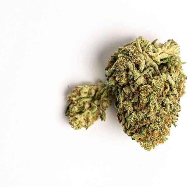 Levels - Denver Website