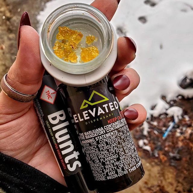 Elevated Longmont Website