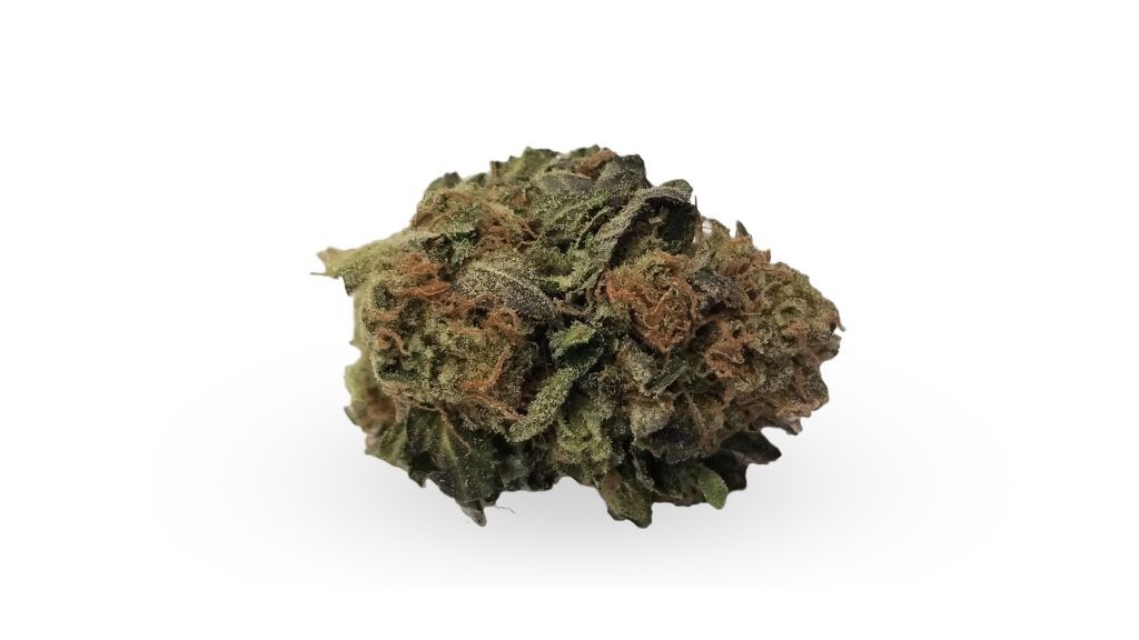 Nature's Medicines - Fall River Website