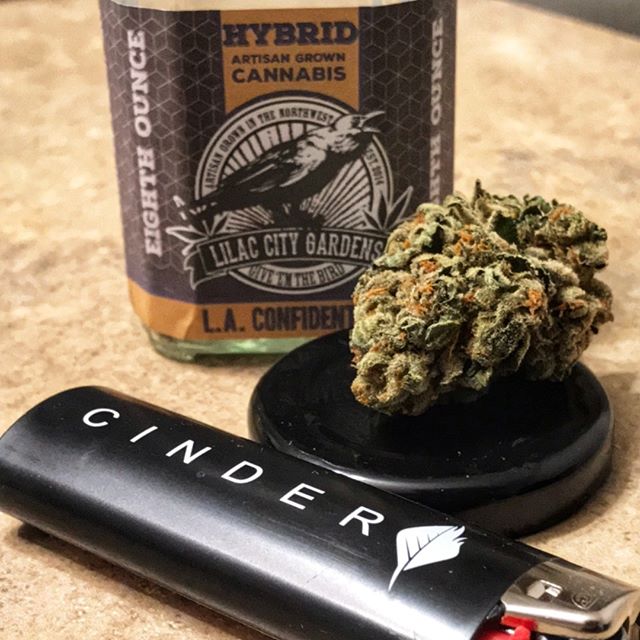 Cinder - Spokane Valley Website