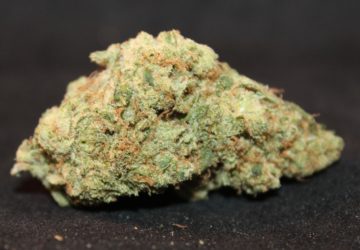 Green Fellas Website