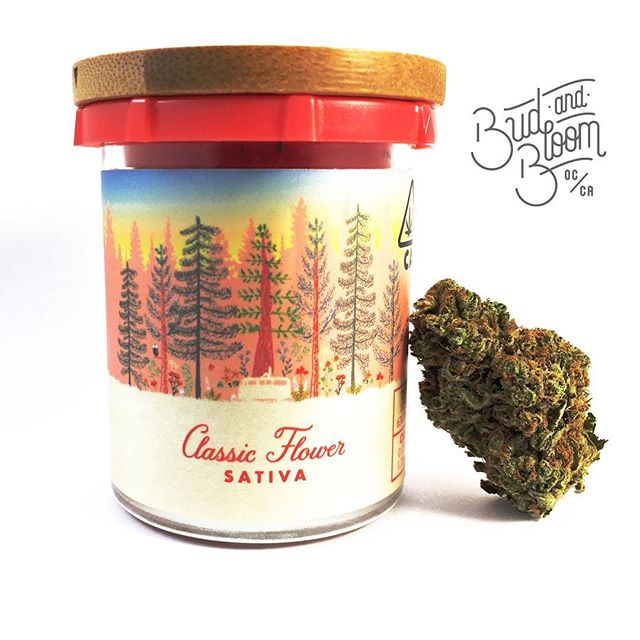 Bud and Bloom - Santa Ana Website