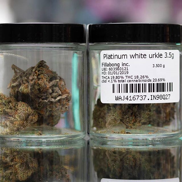 Fillabong - Silverdale Website