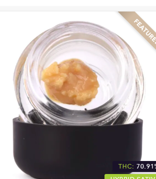 Bay Care Delivery Website