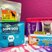 Oceanside Alternative Medicine Evaluation Center Website