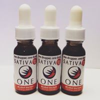 Tree House Collective Website