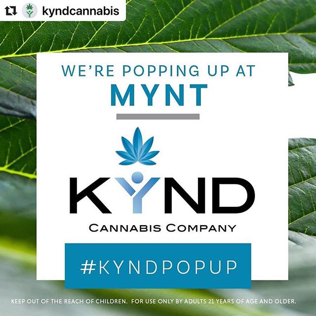 Mynt - North Reno Website