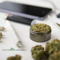 Greenshock Farms Website