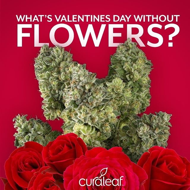 Curaleaf - Youngtown Website