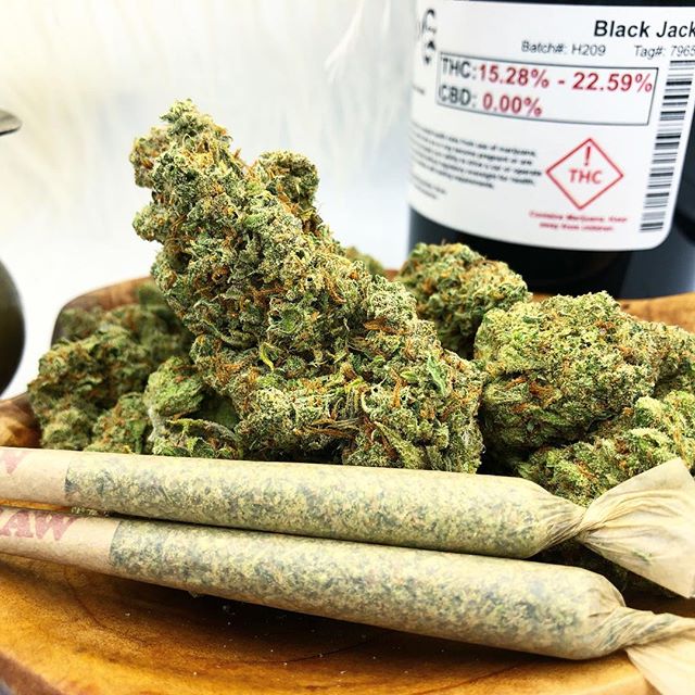 Diego Pellicer - Denver Website