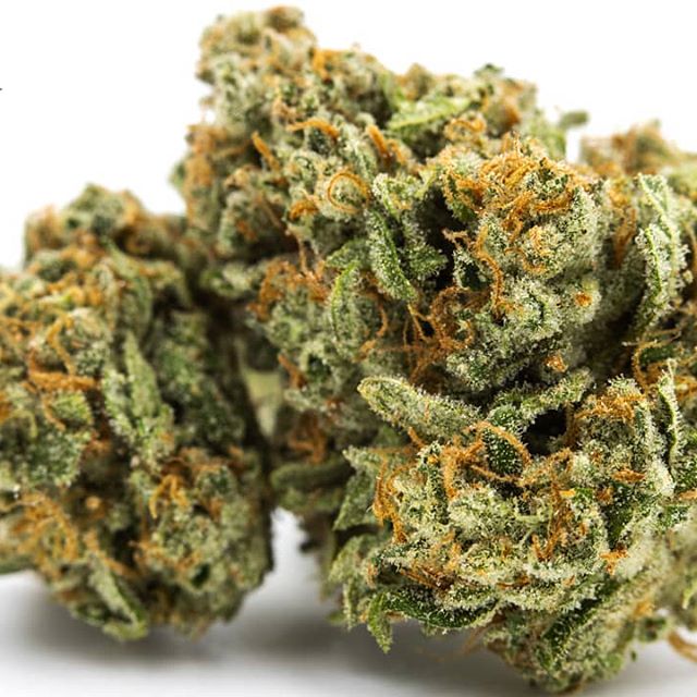 Urban Dispensary Website