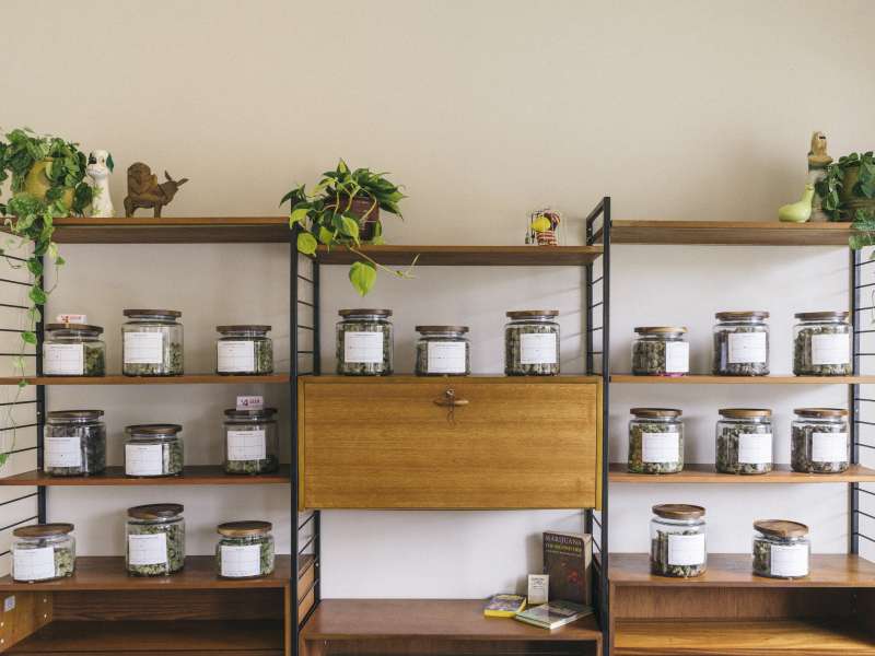 Electric Lettuce - Overlook Website