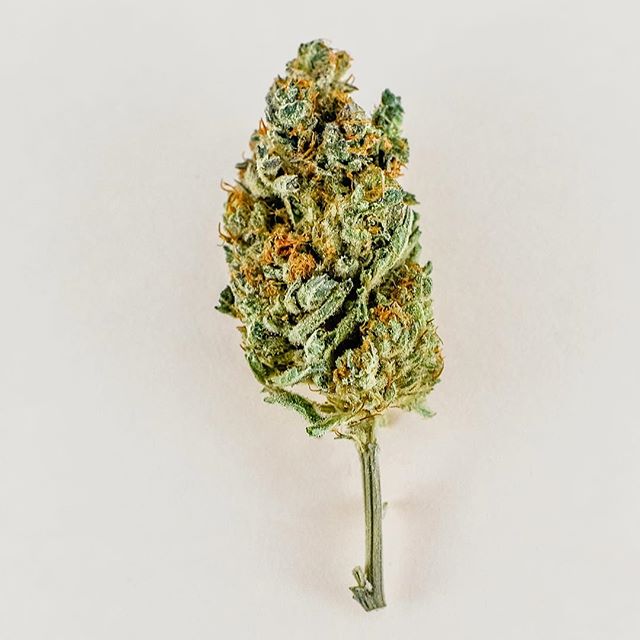 Strawberry Fields Colorado Springs Website