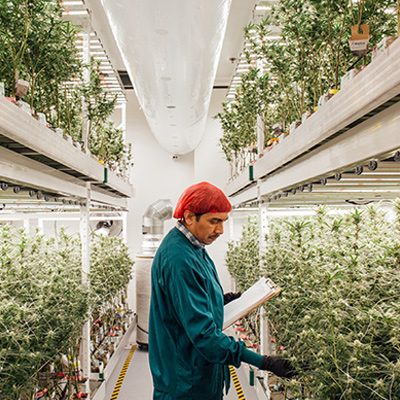 Level Up Powered by MedMen Website