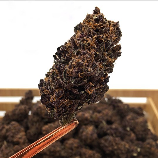 Ash + Ember Cannabis Website