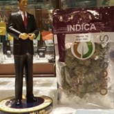 White Rabbit Cannabis - Lynnwood Website