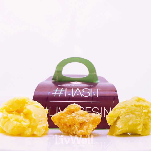 LivWell - Springfield Website