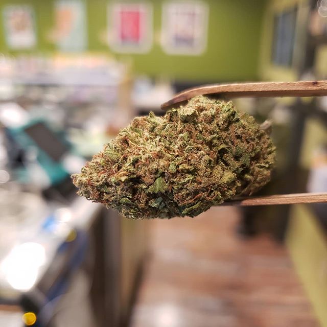 Market Street Wellness Website