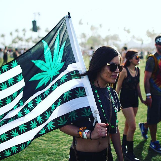 Green Cross Pharma - Rancho Mirage, Palm Springs, Palm Desert Website