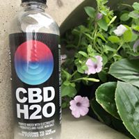CBD H2O Website