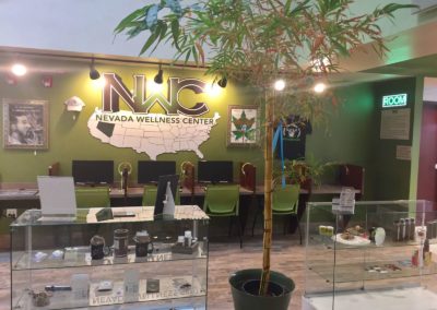Nevada Wellness Center Website