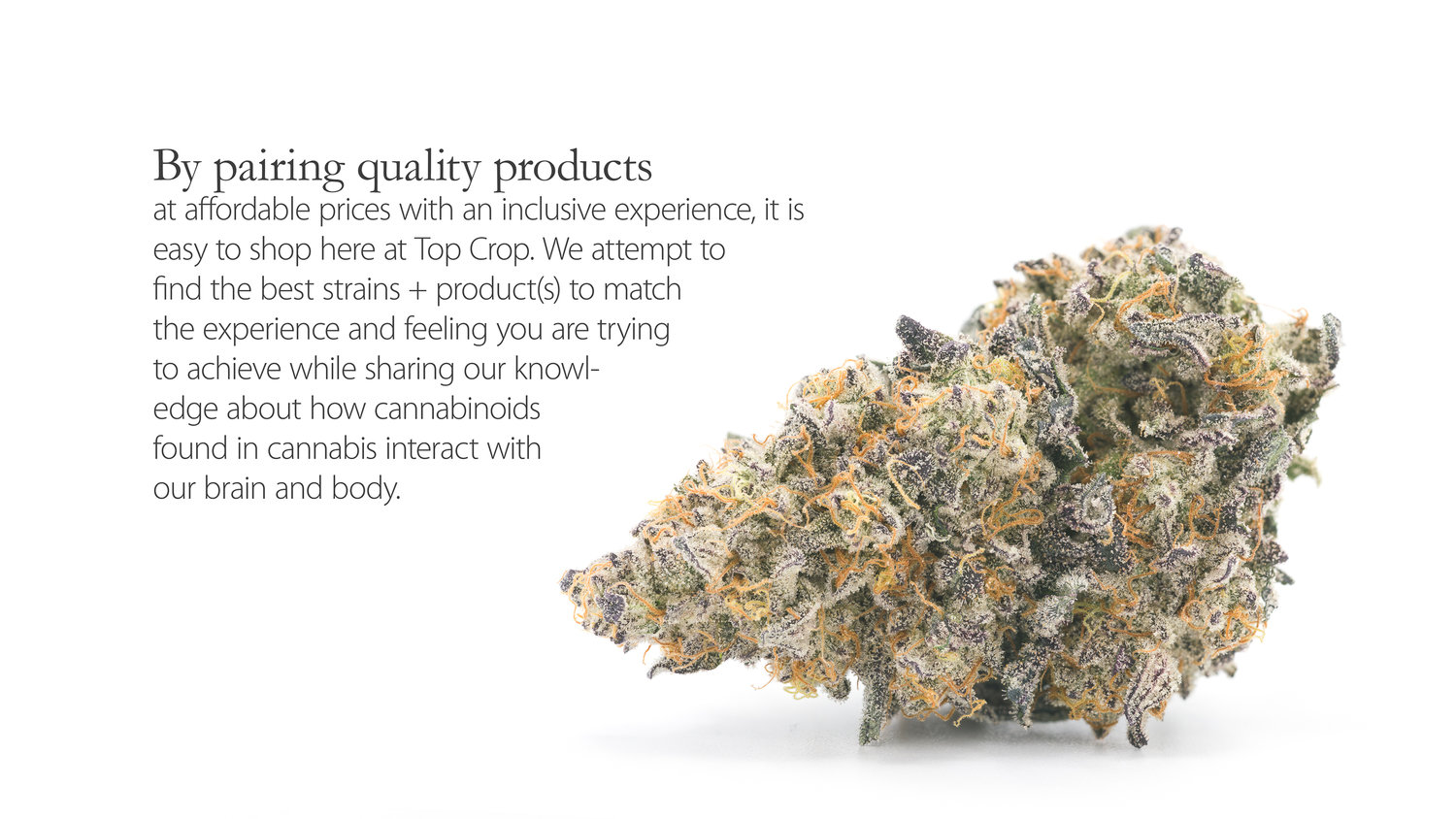 Top Crop - West Eugene Website