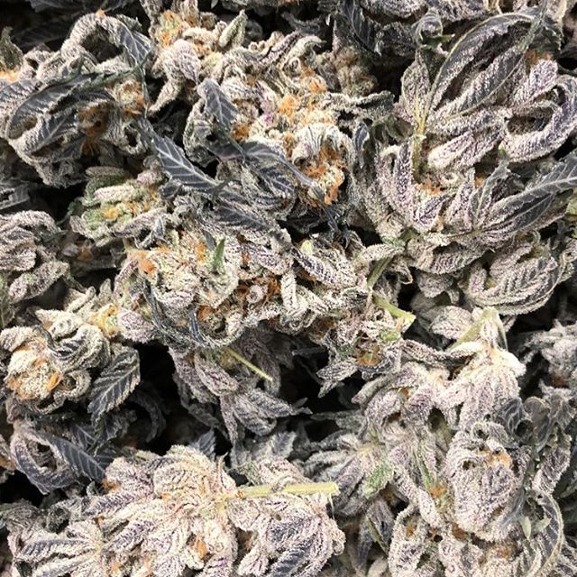 Grass Monkey Cannabis Company Website