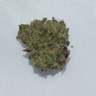 Bronto Delivery Website