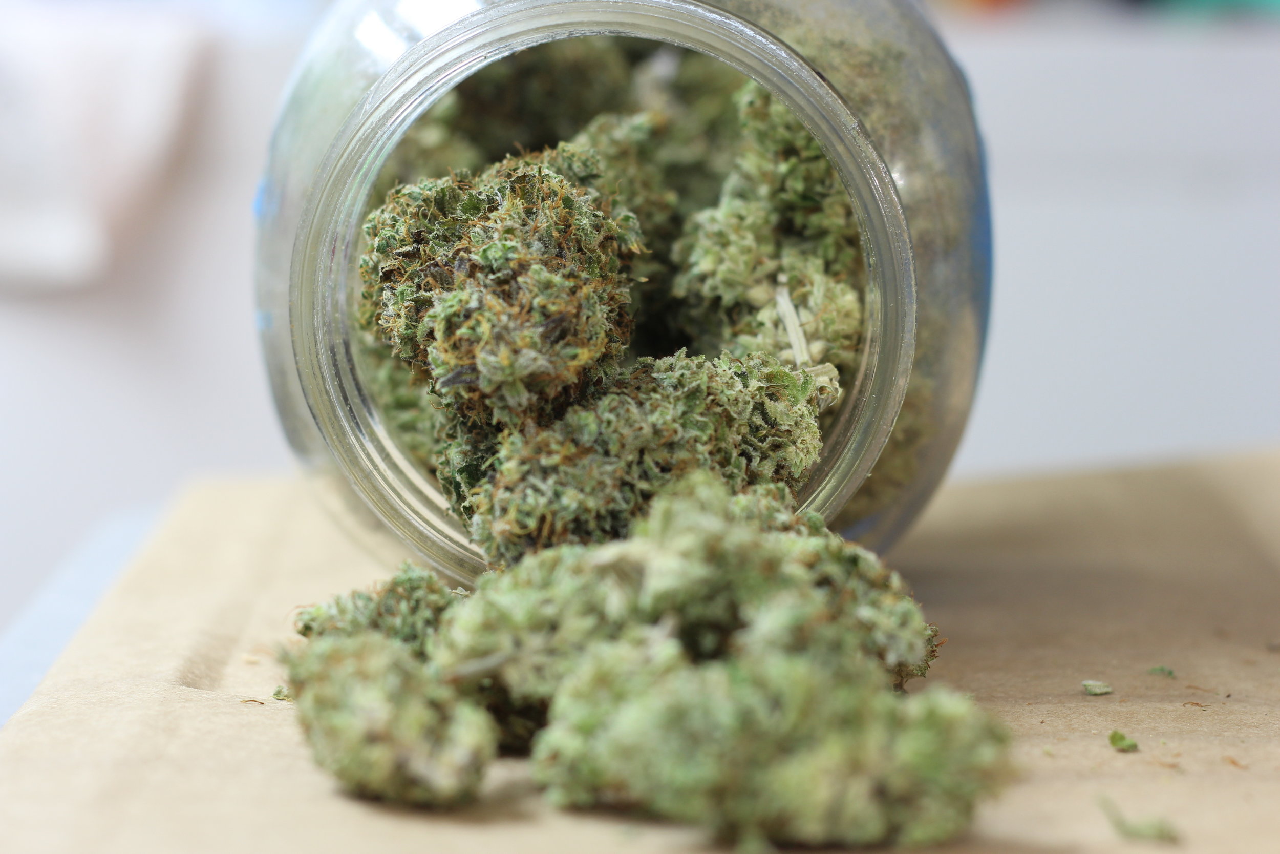 Maine Cannabis Exchange Website