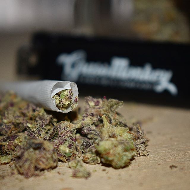 Grass Monkey Cannabis Company Website