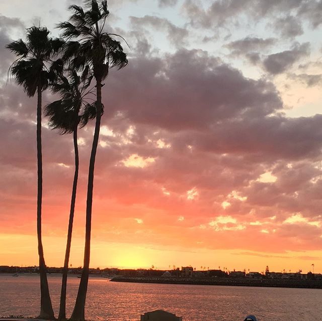 The Sequoyah Group, LLC Website