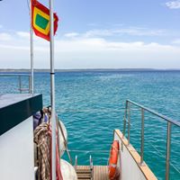 bona vida catamaranes sas Website