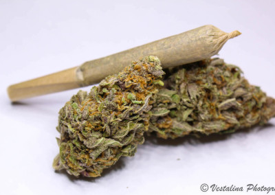 Twenty After Four Wellness Center Website