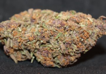 Green Fellas Website