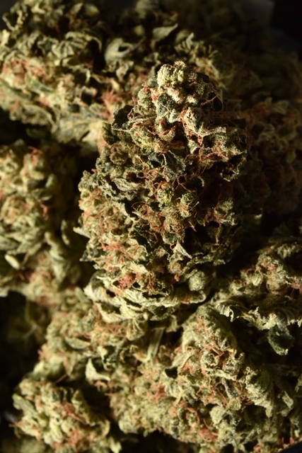 Pure Medical 2 Website